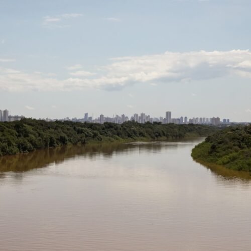 Governo de MT flexibiliza lei e libera pesca de mais de 100 espécies