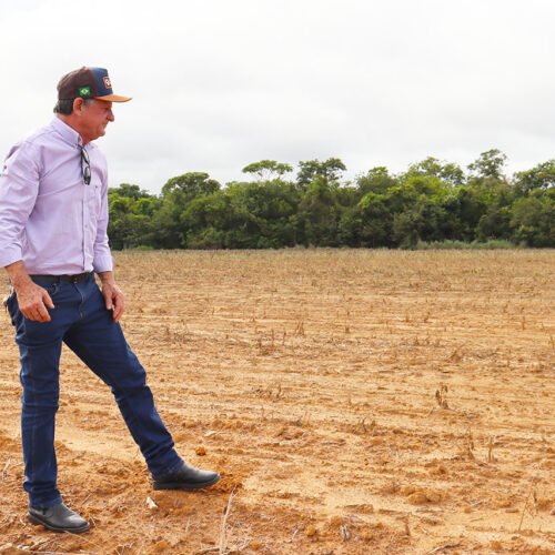 Crise na Safra: Vereadores cobram ações do Ministério da Agricultura