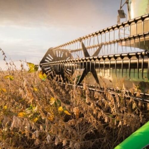 Conab faz novo levantamento e diz que safra cai abaixo de 300 milhões toneladas