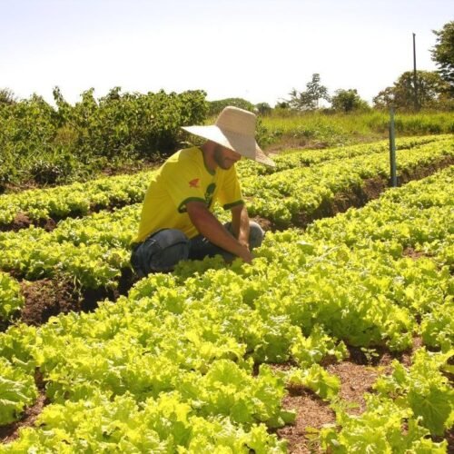 Sefaz reduz tempo para liberação de inscrição estadual de micro e produtores rurais