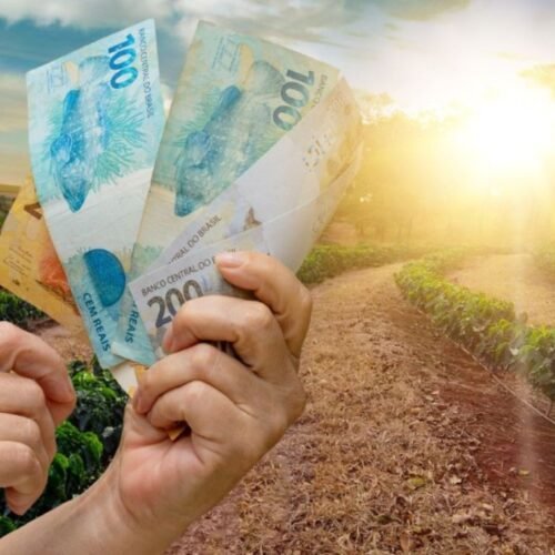 Produtores mato-grossenses já utilizaram R$ 47 bilhões do Plano Safra
