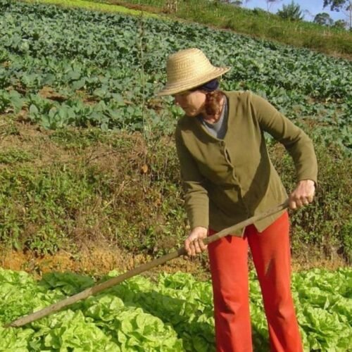 Mato Grosso abre inscrições para o Projeto Maria Terra