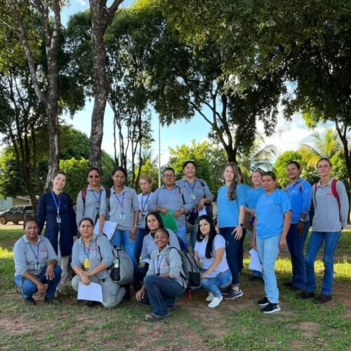 Equipes da Saúde estão realizando vistorias domiciliares no Mutirão da Dengue