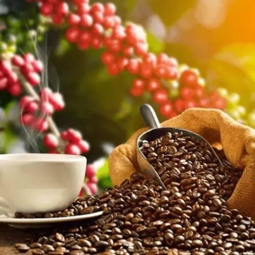 Produção mundial de café atinge recorde de 178 milhões de sacas, diz OIC