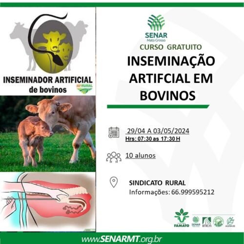 Curso de inseminação de bovinos