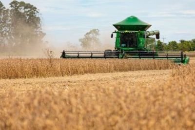 A pedido do MPF, Agricultura revê alteração do calendário da soja no MT