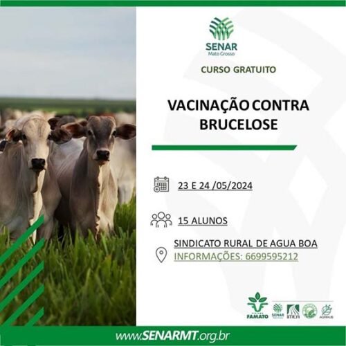 Senar oferece curso gratuito de vacinação contra brucelose em Água Boa
