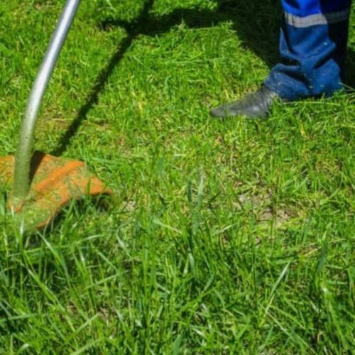 Moradores do loteamento Jardim Noroeste devem realizar limpeza e roçada de terrenos