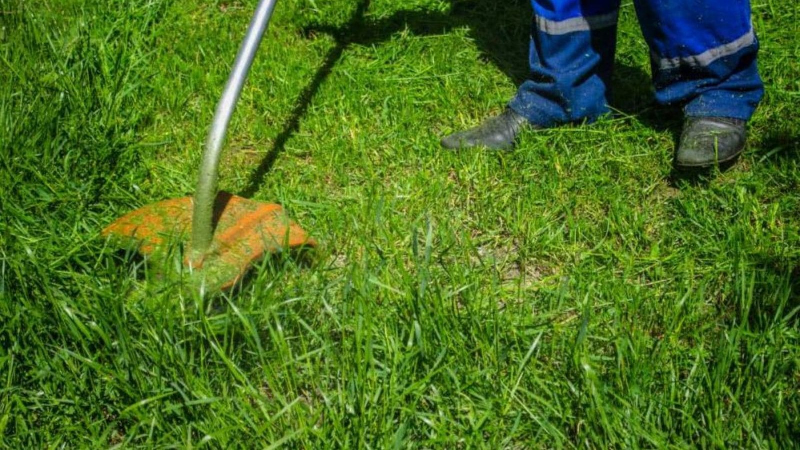 Moradores do loteamento Jardim Noroeste devem realizar limpeza e roçada de terrenos