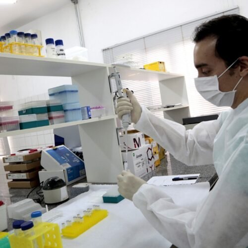 Motoristas das categorias C, D e E têm até hoje (30/04) para fazer exame toxicológico