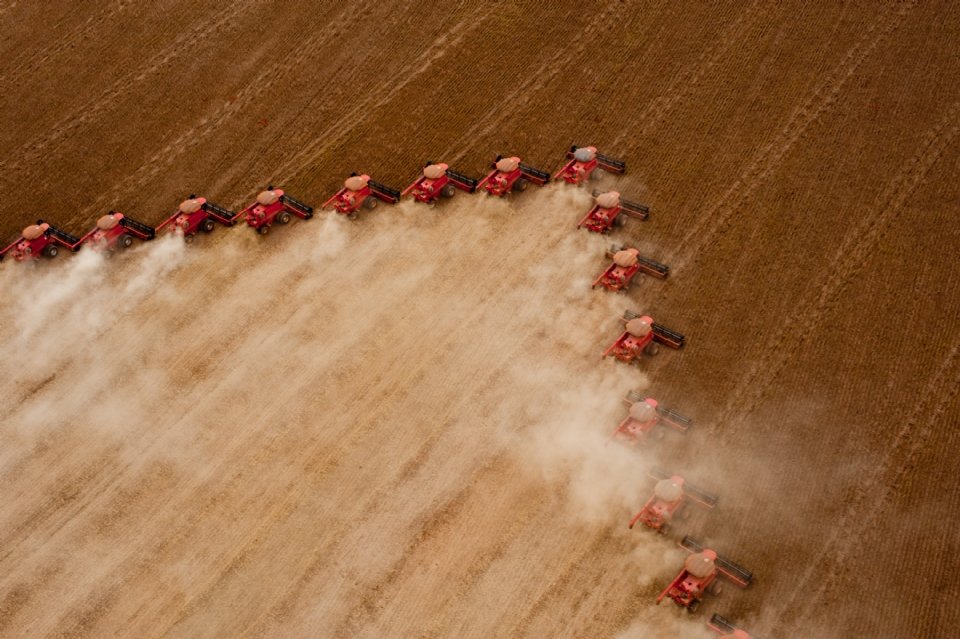 Safra da soja em Mato Grosso teve queda de 16,29%, constata IMEA