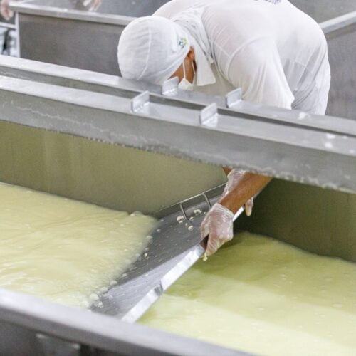 Governo regulamenta normas para manipulação e beneficiamento de produtos da agroindústria familiar em MT