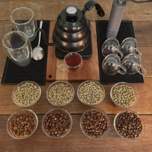 Produtores de café recebem apoio do Governo de MT para análise profissional e melhoria da qualidade dos grãos