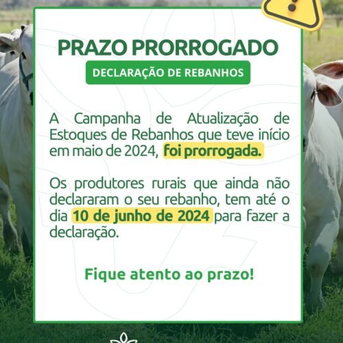 Termina hoje (10/06) para regularização do rebanho ao Indea