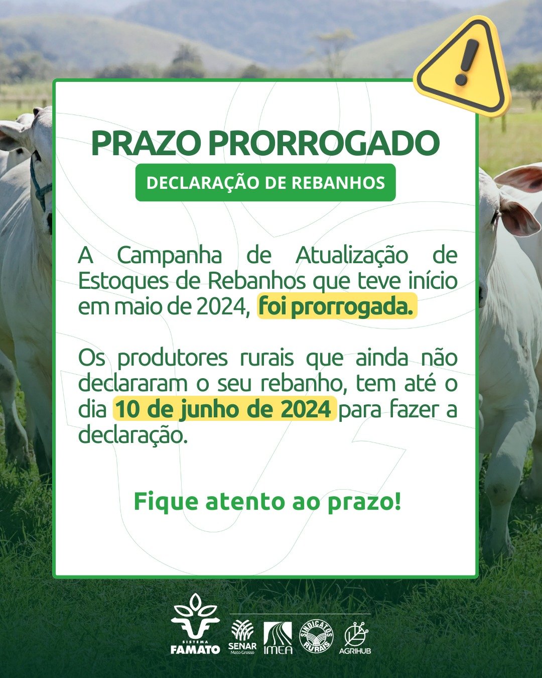 Termina hoje (10/06) para regularização do rebanho ao Indea