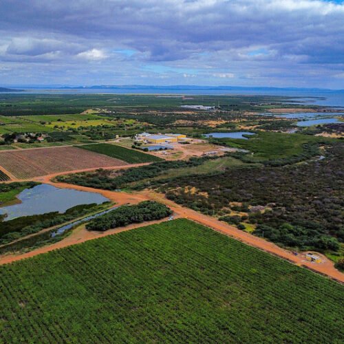 Prazo para produtor emitir CCIR começa na terça (18/06)