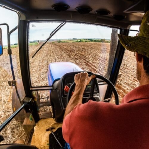 Pequenas propriedades são 70% dos estabelecimentos produtores de soja no Brasil