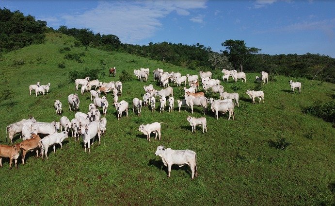Estudo do Imea revela carência de mão de obra qualificada no setor rural mato-grossense