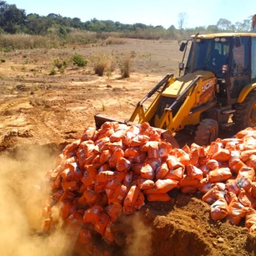 Mais de 15 toneladas de sementes irregulares apreendidas em fiscalização do Indea são destruídas em Agua Boa